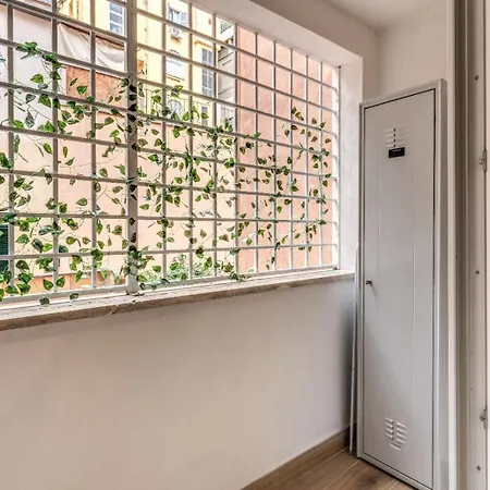 Maison Carrozze *